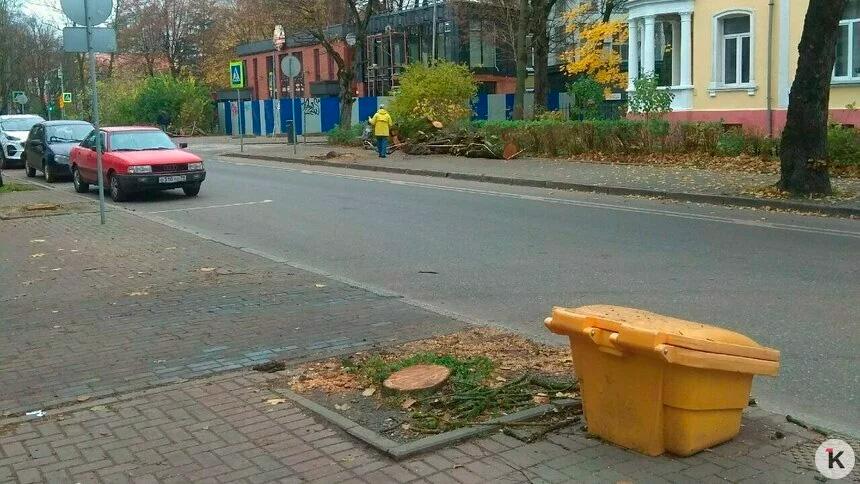 На Комсомольской в Калининграде пилят липы горожане возмущены По словам очевидца Алексея 10 ноября деревья начали спиливать от перекрёстка с Карла Маркса в сторону остановки Улица Чайковского Как уверяет собеседник Клопс деревья были большими и здоровыми летом покрывались густой листвой Липы задерживали пыль и выхлопные газы от автомобилей а теперь на их месте остались пни с корнями Уже убрали шесть деревьев подряд и не собираются останавливаться Кому они мешали Никто даже не выкорчёвывает пни Помогите прекратить вырубку обратился к редакции Алексей Читатель уверен что работы выполняются по чьей то ошибке или же планомерно уничтожают насаждения с какими то целями В администрации Калининграда заявили что работы ведутся по порубочному билету но копию документа не предоставили В соответствующем разделе на сайте мэрии также нет информации о вырубке на Комсомольской Подписаться Прислать новость