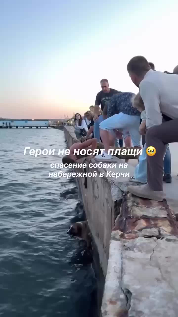 Спасение собаки на набережной Керчи привлекло внимание местных жителей