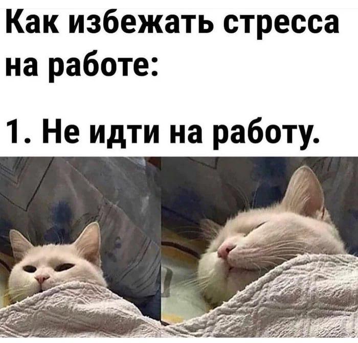 Исследование: Из-за чего ростовчане испытывают стресс на работе  Сервис SuperJob провел опрос среди трудоустроенных жителей Ростова-на-Дону о главных причинах стресса на работе. Результатами поделилась пресс-служба сервиса.  Чаще всего напряжение у ростовчан вызывают коллеги — так ответили 14% участников исследования. Среди причин недовольства: токсичность, склонность к сплетням, грубость, стервозность, суетливость и недоброжелательность. На втором месте оказалось отношение руководства  13% , на третьем — непрофессионализм команды  8% . 6% респондентов пожаловались на низкую зарплату, по 5% — на непрофессионализм начальства и поведение клиентов. Еще по 4% отметили в качестве источников стресса нечеткие задачи, высокую нагрузку и отсутствие организованности на работе.  В исследовании также отмечается, что мужчины чаще жалуются на некомпетентность начальства и задержки зарплаты, а женщины — на поведение коллег, руководства и клиентов.