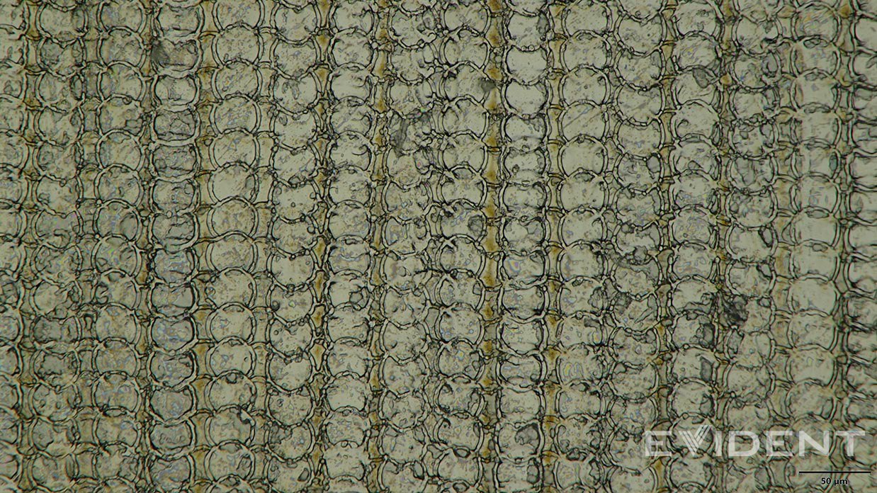 iFixit нашли в iPhone Air круги на полях послание инопланетян вот такие странные узоры Как думаете что это может быть Это титановый порт USB C который Apple печатает на 3D принтере Эксперты признаются что впервые видят такую технологию