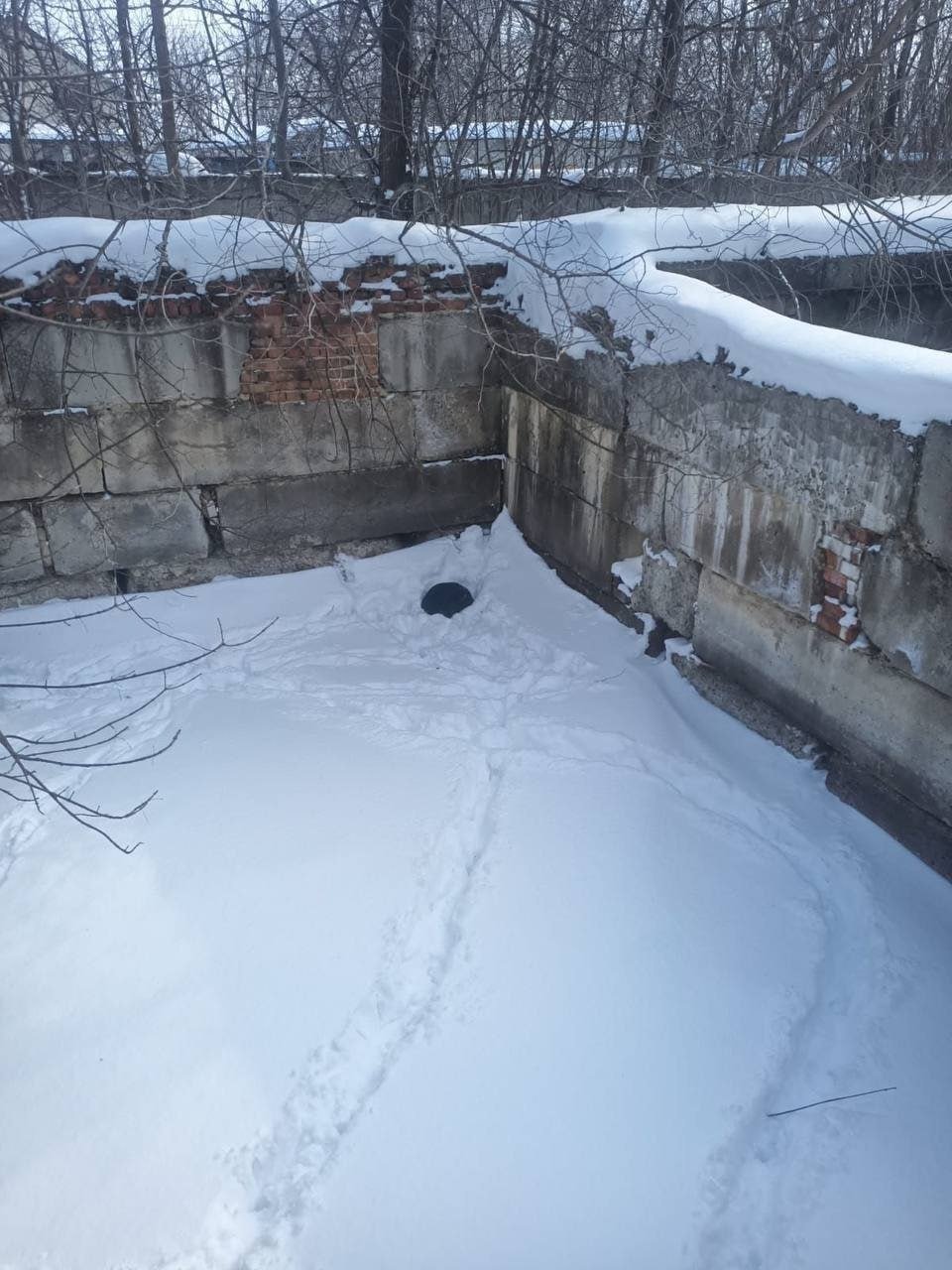 Провалившегося в котлован слепого пса спасли в Ставрополе  Бедный хвостик упал с высоты 2х метров. Сам он выбраться не смог, поэтому свернулся на холодном снегу клубочком и просто ждал, когда его заметят и спасут    На помощь пушистику сотрудники АСП Ставрополя. Они захватили его специальной петлей и вытащили на поверхность.   Волонтеры забрали его в приют "Лучший друг". Теперь он в надежных руках   Фото: ПАСС СК   Stavropol.Media   Прислать новость