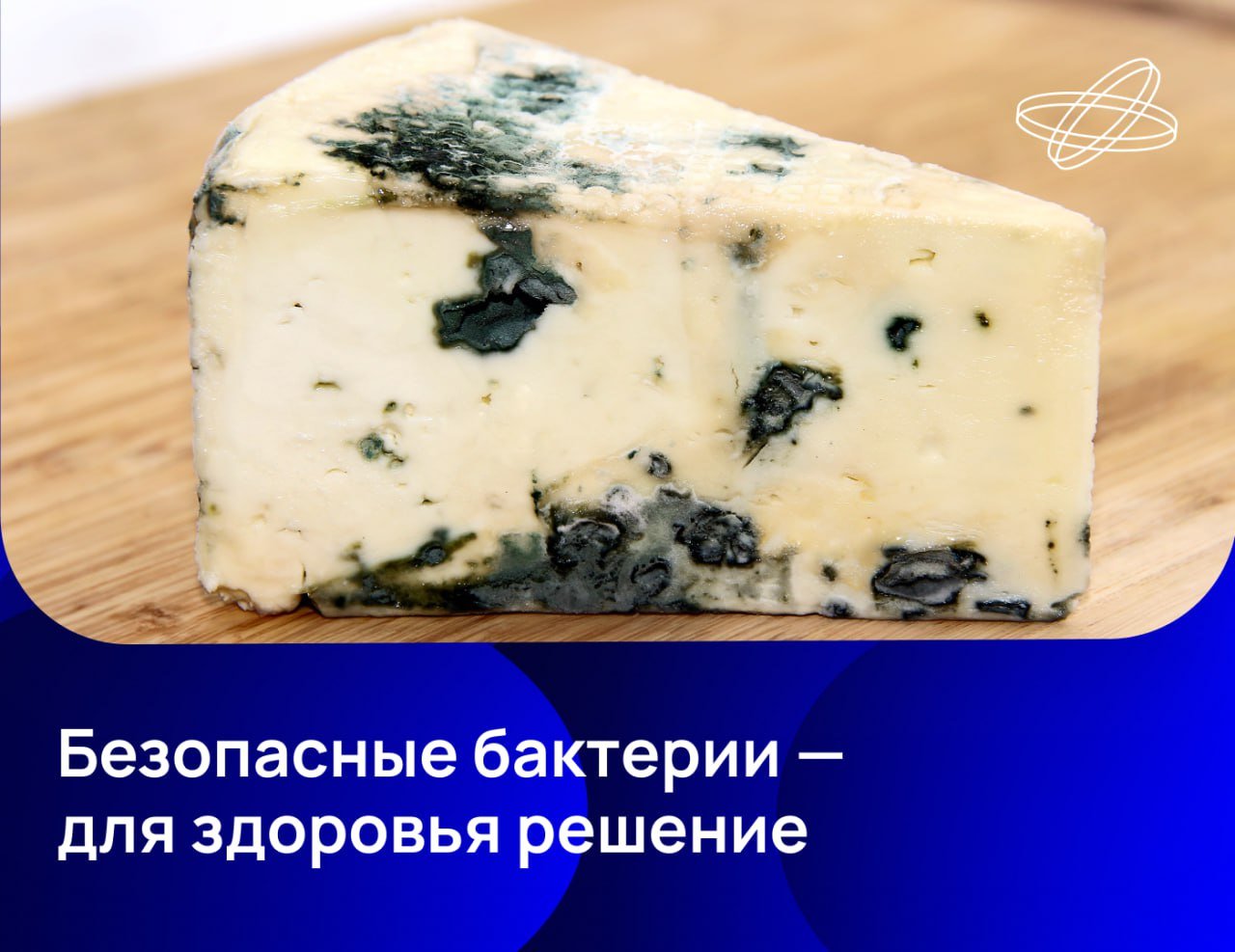 За сквашивание молока, вкус и запах сыра, кефира и других кисломолочных продуктов отвечают особые микроорганизмы — лактобактерии. Российские учёные предложили обеспечить промышленность бактериями, не обладающими устойчивостью к антибиотикам.  Дело в том, что продукты, в которых содержатся микроорганизмы с резистентностью, могут привести к её появлению и у людей. Тогда при серьёзных заболеваниях антибиотики не помогут или дадут неполный эффект.  Микробиологи Томского госуниверситета три года искали и собирали «чистые» штаммы лактобактерий, не обладающих антибиотикорезистентностью. Коллекцию из 20 таких штаммов они обещают до конца год передать производителям кисломолочной продукции.  «Сейчас перед учёными и промышленниками стоит задача формирования крупных отечественных коллекций, которые обеспечат независимость пищевой промышленности от импорта», — пояснила завкафедрой биотехнологии и биоинформатики БИ ТГУ Ольга Карначук.    Наука.рф  #десятилетиенауки