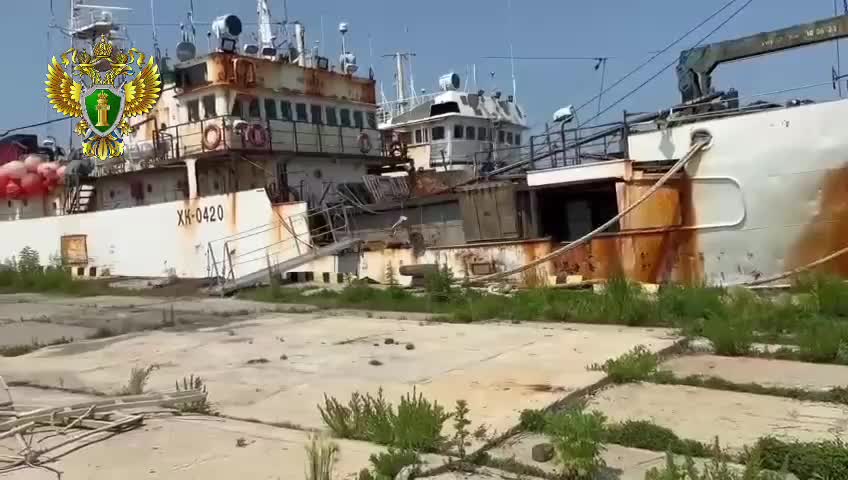 Уголовное дело о контрабанде краба в Владивостоке передано в суд