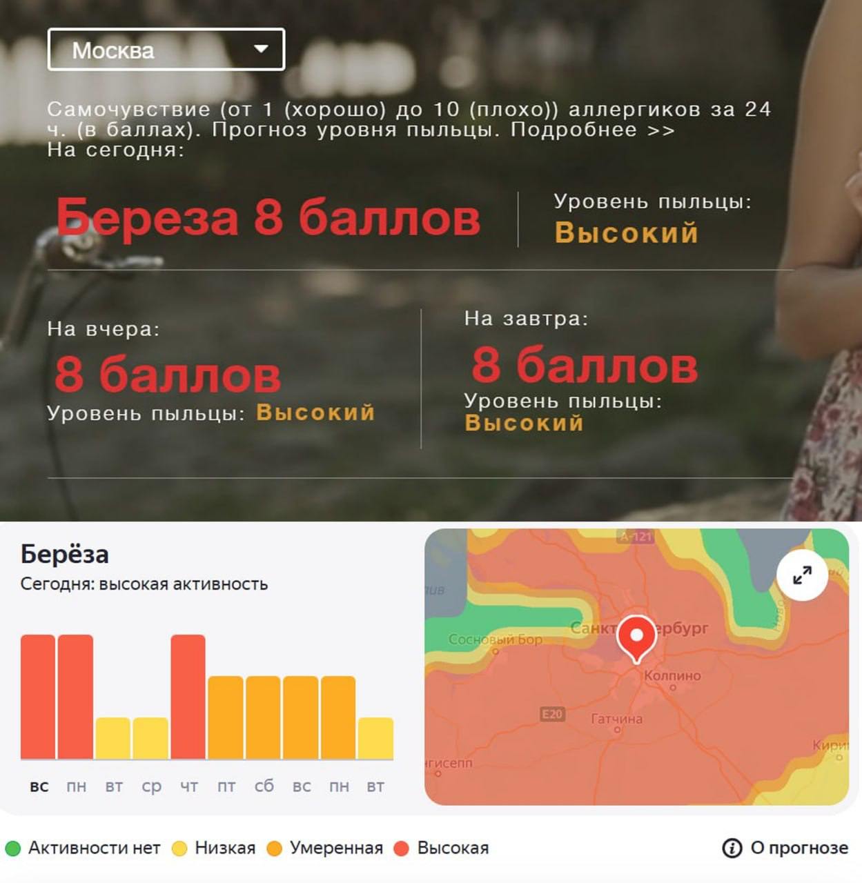 Перешлите аллергикам: в ближайшую неделю в Москве и Петербурге ожидается высокий уровень пыльцы березы. Чтобы облегчить симптомы, эксперты рекомендуют больше внимания уделять влажной уборке дома, использовать очистители и увлажнители воздуха. А тем, кто хочет переждать период цветения, лучше выбрать такие регионы, как Карелия, Калининград, Крым или Кубань. Подписаться Прислать новость Читать аналитику