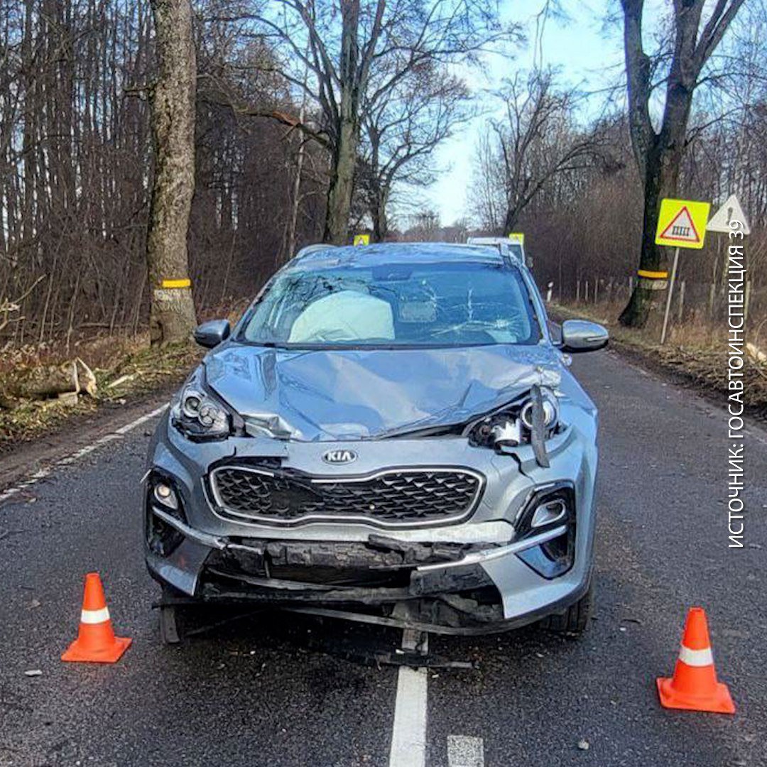 Ребёнок пострадал в аварии в Зеленоградском районе — там тоже упало дерево.  Предварительно, водитель не успел среагировать и врезался в ствол. От удара пятилетний мальчик получил травмы. Он в ДОБ.  Полиция напоминает водителям быть поосторожнее. Штормит не по-детски.