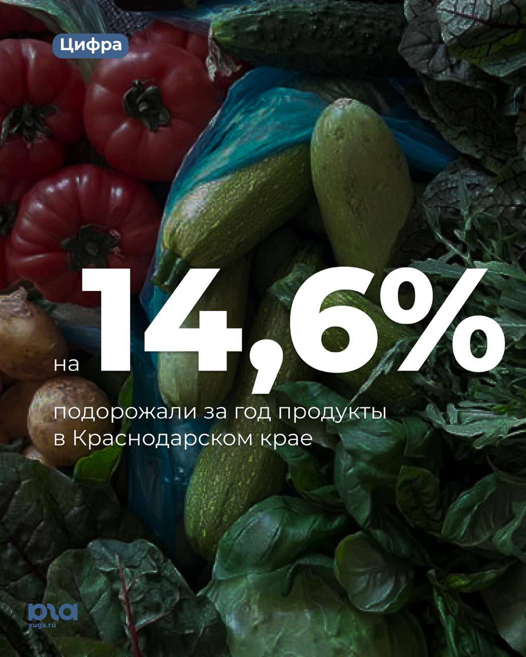 Продукты на Кубани подорожали на 14,6% В марте еда в Краснодарском крае подорожала почти на 15% по сравнению с прошлым годом. За месяц — на 1,3%. Услуги выросли в цене на 12%, а непродовольственные товары — на 5%. В целом люди стали меньше покупать всё, кроме еды. В Банке России объясняют это высокими ставками по кредитам — крупные траты откладываются, спрос снижается. В ЦБ говорят, что инфляционное давление немного снизилось, но ключевая ставка всё ещё высокая — 21%. _____________________________ Есть интересная новость? Присылайте нам Краснодар Сегодня ПРИСЛАТЬ НОВОСТЬ