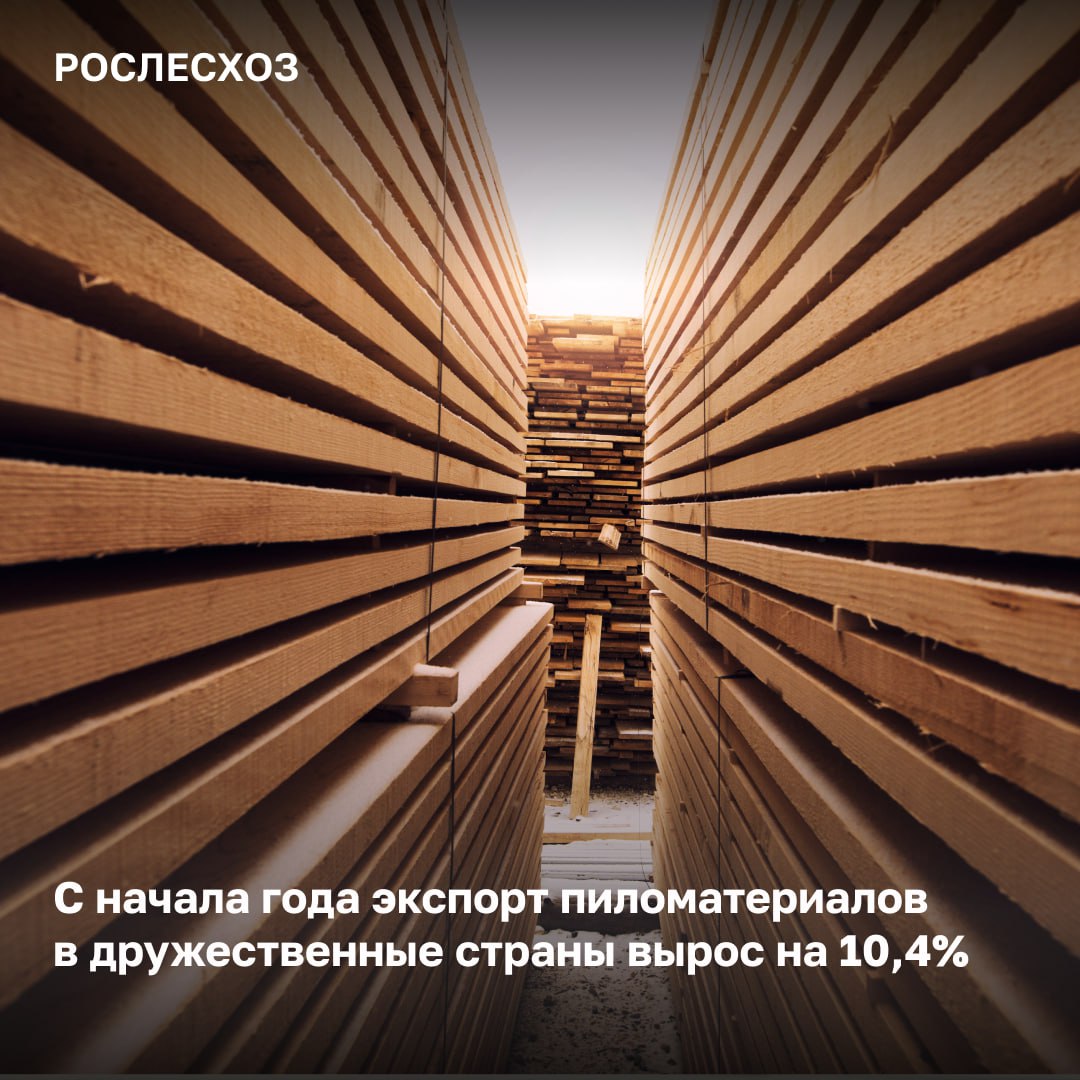 За 10 месяцев во ФГИС Лесного комплекса оформили свыше 378 тыс экспортных сделок за аналогичный период прошлого года 295 тыс   Спрос на отечественную продукцию по данным ФГИС ЛК в дружественные страны с начала года экспортировано свыше 18 млн м3 пиломатериалов за аналогичный период 2024 года 16 3 млн м3 Мы видим что с начала года во ФГИС ЛК оформлено почти 378 тыс электронных сопроводительных документов на вывоз обработанной лесопродукции что на 28 2 выше чем годом ранее Это говорит не только о том что в дружественных нам странах растет спрос на российские пиломатериалы но и о том что у нас отлажено взаимодействие с таможенными органами Это позволяет не только оперативно проверять документы на партию древесины но и оперативно доставлять их до конечного пункта сказал замглавы Рослесхоза Вячеслав Спиренков Куда поставляются российские пиломатериалы в 41 страну Крупнейшим покупателем обработанной древесины из России является Китай а также страны Средней Азии Узбекистан Казахстан Таджикистан и Киргизия