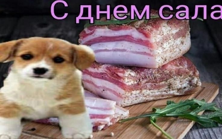 Врачи рекомендуют свердловчанам включать в зимний рацион сало И не удивительно оно содержит жирные кислоты селен и витамины A E D Ежедневная порция 15 20 граммов помогает снизить тягу к сладкому укрепляет сосуды и нормализует холестерин А селен в составе к тому же замедляет старение и поддерживает репродуктивное здоровье в общем идем закупаться   Подпишись на КП Екатеринбург Мы в Max