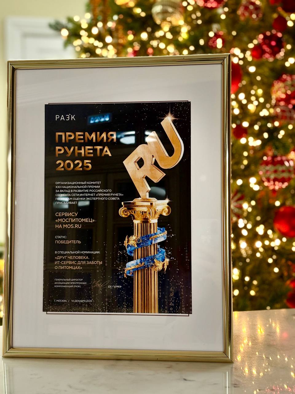 Сервис Моспитомец лучший социальный проект Рунета На совместный с Департаментом информационных технологий проект одержал победу в спецноминации За формирование ответственного отношения к животным Моспитомец помогает животным из 13 городских приютов найти любящих хозяев В электронном каталоге собрано более тысячи анкет приютских животных Все питомцы чипированы привиты и готовы к переезду в новый дом При выборе будущего домашнего любимца можно воспользоваться фильтрами указать тип животного кошка или собака пол возраст размер длину шерсти и окрас На странице каждого питомца размещены его фотографии описание внешности и характера контакты приюта Чтобы встретиться с понравившимся животным необходимо нажать кнопку Записаться и оставить свои данные После получения заявки сотрудник приюта свяжется с вами для уточнения даты и времени визита Больше о событиях Москвы в каналах Мэра Москвы Сергея Собянина и Городское хозяйство Москвы в MAX