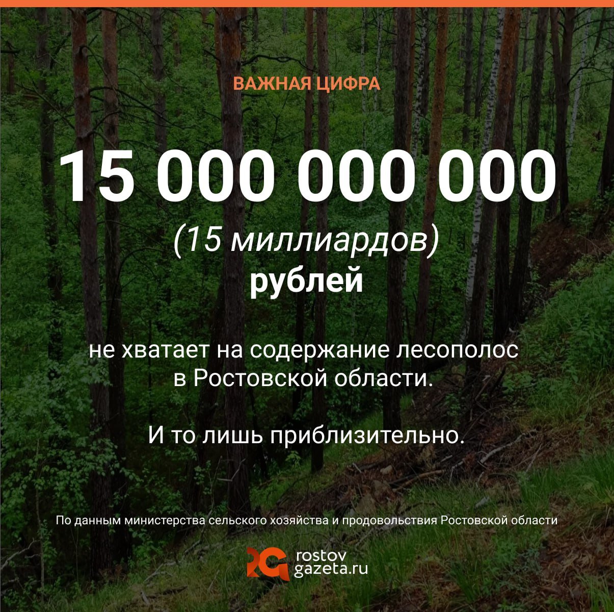 За 2024–2025 годы из бюджета Ростовской области было выделено 86 миллионов рублей на содержание и обследование насаждений. Но эта сумма — капля в море, сообщили в министерстве сельского хозяйства и продовольствия Ростовской области.   По словам начальника отдела развития мелиорации регионального минсельхозпрода Юрия Цыганенко, основная часть лесополос была посажена в 60-е — 80-е годы ХХ века, и сейчас они находятся в неудовлетворительном состоянии.   Несмотря на то, что на содержание лесов выделили 86 миллионов рублей, в министерстве считают, что нужно без малого в 200 раз больше. Общая потребность в средствах на выполнение только однократных работ по содержанию 150 тысяч гектаров лесополос составляет более 15 миллиардов рублей.  И оставлять ситуацию как есть тоже нельзя, потому что лесополосы Ростовской области — это не только для красоты. Они выполняют защитные функции: сдерживают суховеи, пыльные бури и эрозии, а также способствуют поддержанию плодородия сельхозугодий.        RostovGazeta