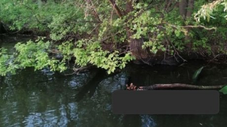 В Пензе завершены поиски 41-летнего подводного охотника, пропавшего в марте на реке Суре. Тело мужчины обнаружили 9 мая в районе Барковки, Сообщение о возможной гибели подводного охотника поступило в пожарно-спасательный центр из полиции 19 марта. В поисках принимали участие родственники мужчины, судоводители, дайверы, добровольцы из регионального отделения «Лизы Алерт», АНО «ДобротворецЪ» из Москвы, Самары, Саранска. Однако тогда обнаружить его не удалось. Фото ГБУ «ППСЦ».