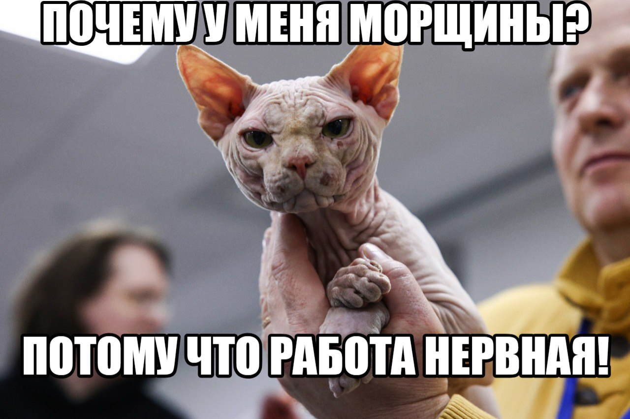 Проснулся уже устал россиян выматывают стрессы и дети Треть соотечественников живет с ощущением безнадеги говорят результаты опроса ВЦИОМа 37 чувствуют усталость каждый день еще четверть несколько раз в неделю Любопытно что самые вымотанные жизнью зумеры а наиболее стойкие возрастные люди Причем больше всего устают россияне от нервной работы и стрессов физическая работа изматывает меньше Семья дети учеба и регулярный недосып тоже крадут жизненные силы признались опрошенные Когда каждое утро недоброе   Подпишитесь на Абзац TG VK Дзен MAX Rutube