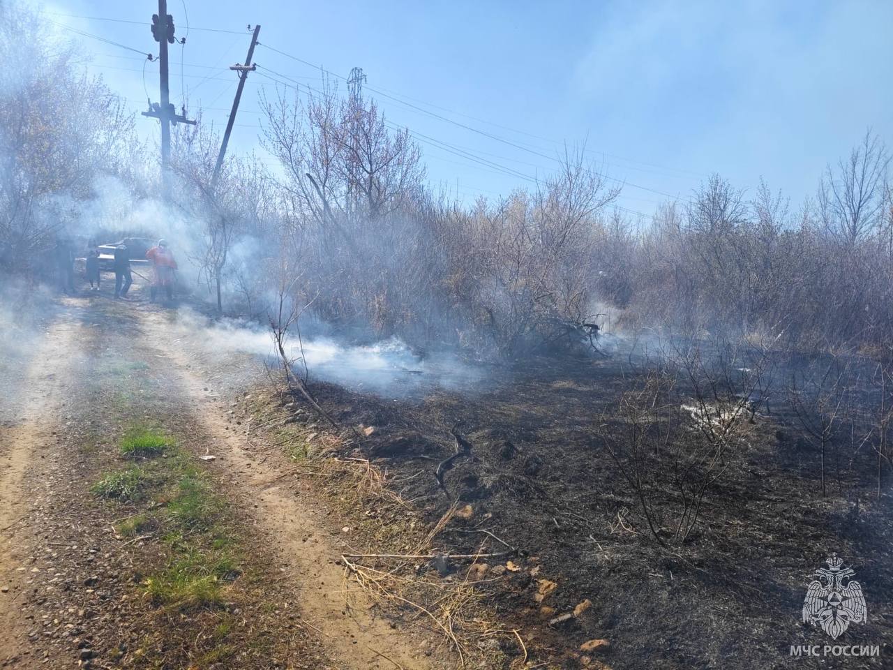 В Новотроицке тушат природный пожар За городом загорелась сухая трава - сообщили в МЧС области. На месте работают три расчета от МЧС, волонтеры. Задействовано три водовозки от администрации города. Ориентировочная площадь пожара составляет 1 га. По предварительным данным пострадавших нет.