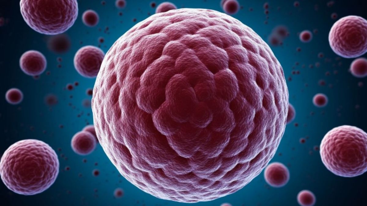 В Орле не выявлено новых случаев менингита newsorel ru fn 1762424 html В управлении Роспотребнадзора по Орловской области не подтвердили информацию о новых случаях заболевания менингитом Прислать новость Подписаться