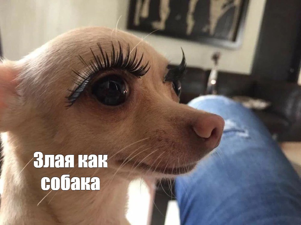 Омичку обязали выплатить компенсацию за укус своей собаки В Тевризском районе суд удовлетворил иск прокуратуры в интересах мальчика, которого покусала собака. Ребёнок получил травму и прививки от бешенства, а также физический и моральный ущерб — страх перед животными. Суд признал владелицу собаки виновной в халатности, так как животное было выпущено на улицу без присмотра. Женщину обязали выплатить семье мальчика 15 тысяч рублей компенсации. Исполнительный лист поступил в ФССП, и после введения ограничения на выезд из страны сумма была полностью выплачена. Написать в редакцию можно здесь.