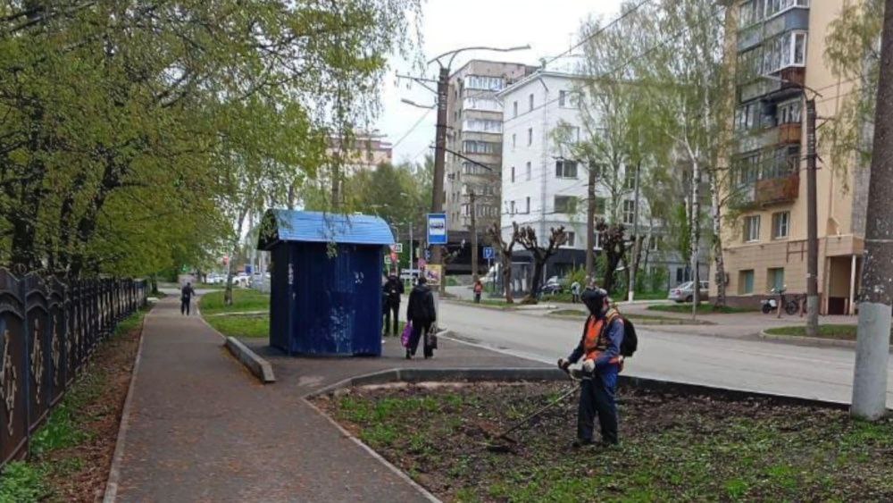 В Кирове начали косить траву Работы стартовали сегодня. В первую очередь приводит в порядок будут магистральные улицы и центральную часть города. Полный цикл кошения на всех газонах планируют завершить до 12 июня. Подписаться