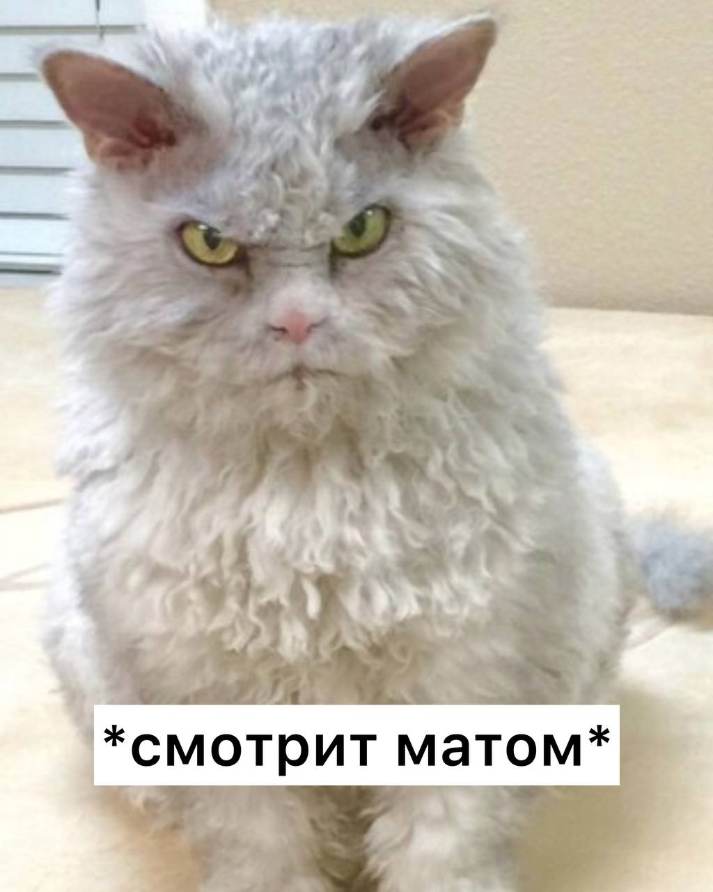 Мат повышает выносливость исследование Нецензурная речь помогает снять психологическое напряжение сосредоточиться и работать эффективнее Ученые провели серию экспериментов в которых участники сжимали кистевой динамометр после серии повторений разных слов Те кто ругался матом в момент сильной усталости показывали на 11 больше выносливости и легче справлялись с нагрузкой Подписаться Прислать новость