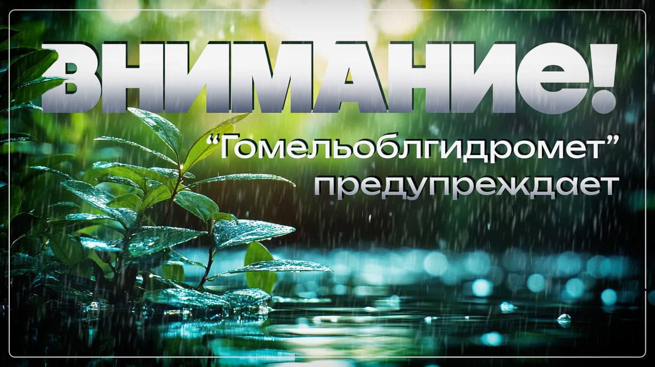 Внимание Гомельоблгидромет предупреждает о неблагоприятном погодном явлении Объявлен оранжевый уровень опасности Днем 8 января во многих районах области и в Гомеле ожидаются сильный снег метель на дорогах снежные заносы на большей части территории региона сильный ветер порывами 15 20 м с 9 января по территории Гомельской области ожидаются сложные погодные условия на дорогах снежные заносы на большей части территории области сильный снег мокрый снег местами очень сильный во многих районах метель и сильный ветер порывами 15 20 м с