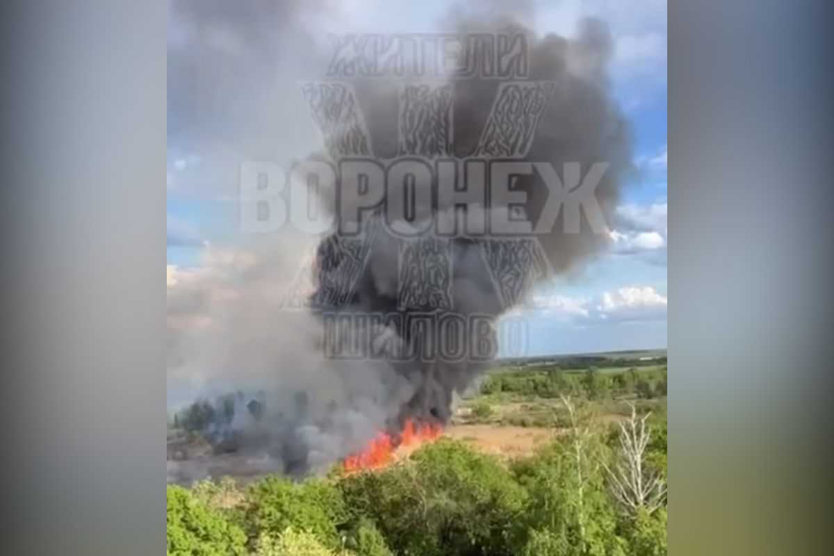 Жители воронежского Шилово поделились кадрами полыхающей несколько часов сухой травы В ролике видно, как огонь охватил сухую траву у болота. В настоящее время пожарные продолжают бороться с огнем. По словам местных жителей, трава горит уже около трех часов. ↗ Прислать новость Подписаться