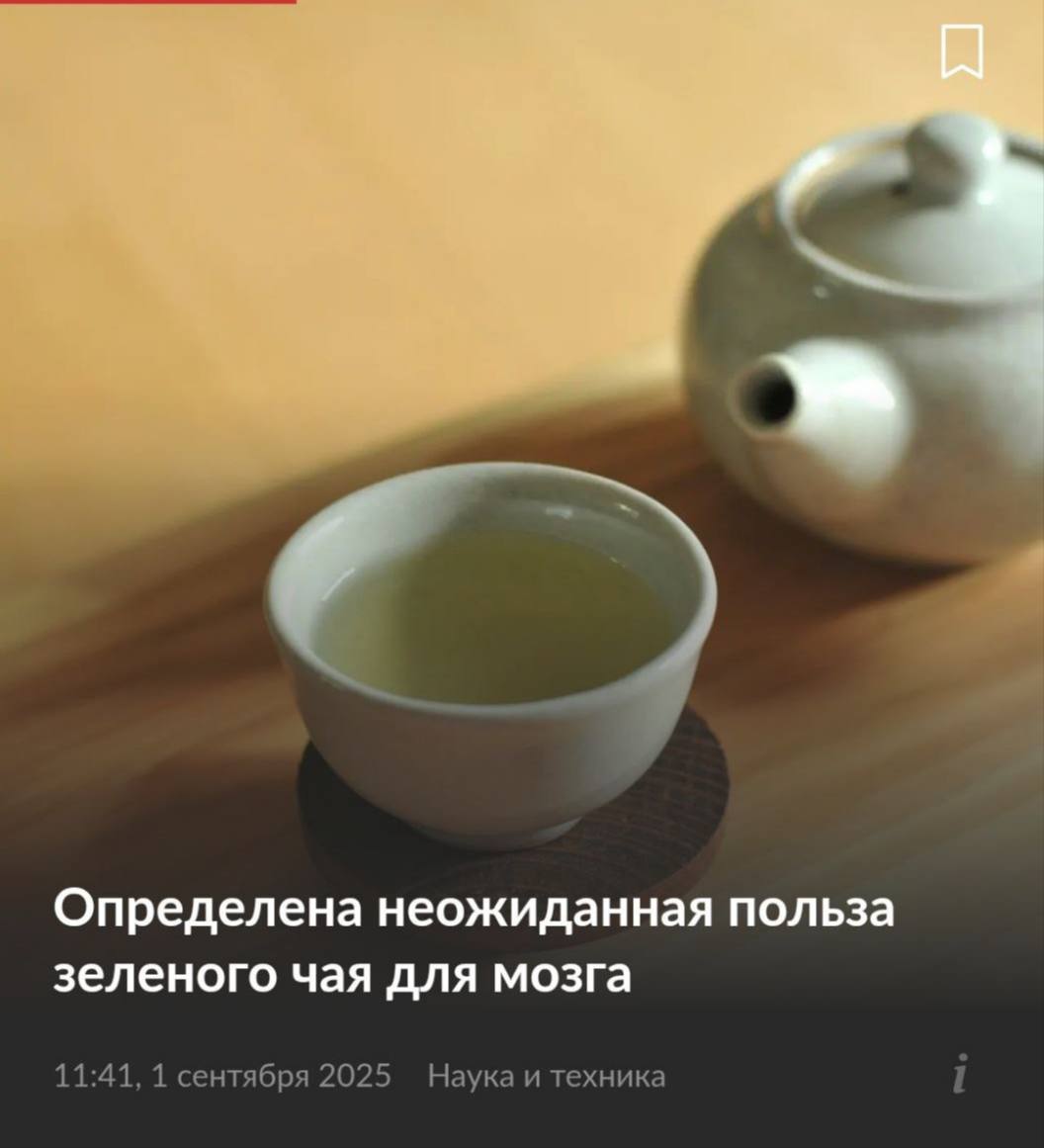 Зелёный чай улучшает память и внимание Учёные раскрыли секрет вечной молодости нейронов компонент EGCG в зелёном чае буквально перезапускает стареющие клетки мозга Вдобавок напиток помогает снизить тревогу и стресс поднимает настроение и расширяет сосуды мозга для максимальной продуктивности Для поддержания ясности ума достаточно выпивать хотя бы 800 мл свежезаваренного зелёного чая в день Бежим заваривать чайник Новости без Политоты Подписывайтесь на канал