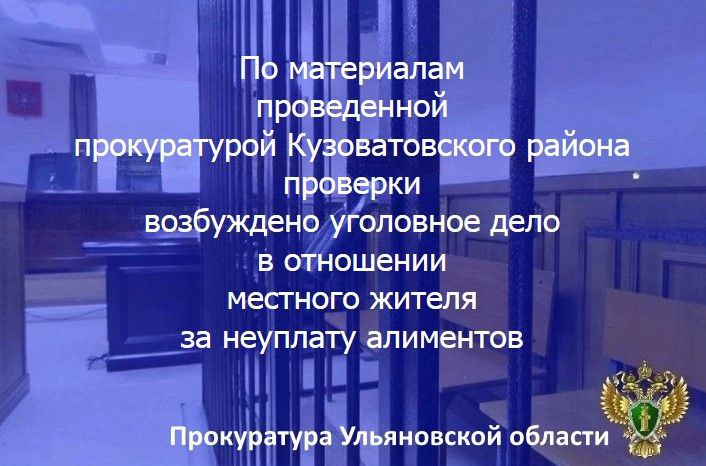 Прокуратура Кузоватовского района Ульяновской области провела проверку исполнения законодательства о защите прав детей. Установлено, что согласно судебному приказу 62-летний Д. должен выплачивать алименты для надлежащего обеспечения жизнедеятельности малолетнего сына, однако от исполнения возложенных обязанностей злостно уклонялся. По результатам рассмотрения направленных прокурором района материалов проверки в отношении указанного лица возбуждено уголовное дело по ч. 1 ст. 157 УК РФ неоднократная неуплата родителем без уважительных причин в нарушение решения суда средств на содержание несовершеннолетних детей , предусматривающей наказание в виде лишения свободы на срок до 1 года.