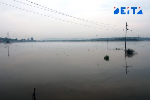 Паводки в Приморье: затоплены десятки участков, отрезаны семь населенных пунктов В Приморском крае сохраняется сложная гидрологическая обстановка из-за прошедших дождей и повышения уровней воды в реках. По информации регионального управления МЧС, в результате паводка затоплено пять приусадебных участков в сёлах Медвежий Кут и Каменка Чугуевского округа, а также двадцать участков в городе Спасск-Дальний. Кроме того, из-за подтоплений нарушено транспортное сообщение с шестью населёнными пунктами, расположенными в Анучинском, Партизанском и Чугуевском муниципальных образованиях. Подробнее о ситуации в крае читайте в нашем материале.