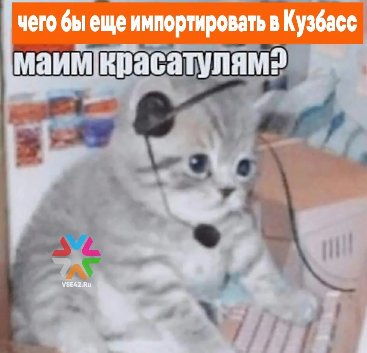 Из Беларуси в Кузбасс привезли сотни саженцев Россельхознадзор разрешил ввоз партии саженцев голубики из Беларуси в Кемеровскую область Так 15 мая сотрудники Сибирского межрегионального управления Россельхознадзора досмотрели свежую партию саженцев голубики прибывшую в Кузбасс из Беларуси Всего на проверку поступило 482 молодых растения Поскольку голубика относится к продукции высокого фитосанитарного риска инспекторы отобрали образцы для лабораторной экспертизы Саженцы уже сопровождались официальными фитосанитарными сертификатами страны отправителя Анализы провели специалисты подведомственного Россельхознадзору ФГБУ ВНИИЗЖ Экспертиза подтвердила что саженцы абсолютно здоровы и соответствуют всем российским карантинным требованиям В итоге ведомство выдало получателю акты карантинного фитосанитарного контроля Эти документы официально разрешают использовать растения для посадки и выращивания в Кузбассе Подписаться на нас в MAX     Подписаться на VSE42 Ru