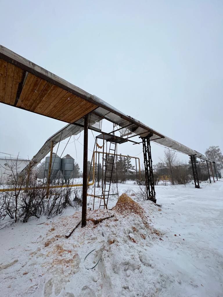 В Омской области прокуратура добилась признания трудовых отношений с подростком и взыскания с работодателя компенсации причиненного ему морального вреда из-за полученной травмы  Любинский районный суд Омской области рассмотрел исковое заявление прокуратуры в интересах несовершеннолетнего о защите его трудовых прав.  Судом установлено, что 17-летний местный житель с 8 июня 2023 г. работал в ООО «Птицефабрика Любинская» в должности рабочего по сбору яиц, а через несколько месяцев стал помощником слесаря. Вопреки закону вместо трудового договора с ним был заключен договор оказания услуг. При этом подросток работал наравне с взрослыми, исполняя свои обязанности в установленное режимом работы время.  Днем 26 декабря 2023 г. в результате несоблюдения требований в области охраны труда парень при выполнении работ по техническому обслуживанию транспортировочной ленты получил тяжкие телесные повреждения в виде открытой черепно-мозговой травмы, травмы плечевого плеча и ампутации руки.   По результатам проверки, проведенной по факту случившегося, прокуратура внесла представление руководителю ООО «Птицефабрика Любинская», а также в интересах пострадавшего направила в суд исковое заявление о признании факта трудовых отношений с несовершеннолетним, внесении соответствующих записей в его трудовую книжку, произведении отчислений страховых взносов и налогов, а также взыскании компенсации морального вреда в его пользу.  Суд в полном объеме удовлетворил заявленные прокуратурой требования, признал травму производственной и постановил взыскать с работодателя в пользу пострадавшего 640 тыс. рублей.  В настоящее время прокуратура продолжает надзор за ходом расследования уголовного дела по факту случившегося.