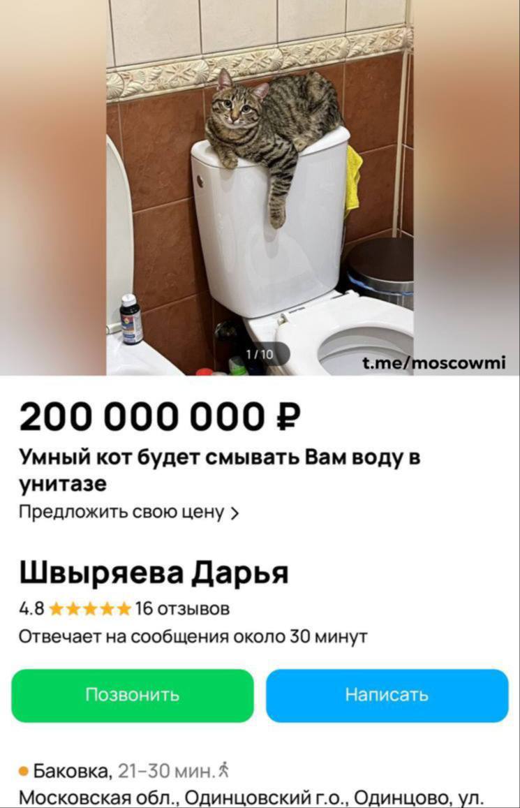 Умные питомцы вышли на новый уровень!   Кота, который будет смывать воду в унитазе, продают за 200 млн рублей в Одинцово.   Он будет нажимать на кнопку смыва и за вас, и за себя, но это еще не все! По словам хозяйки, кот также снижает риск инфаркта или инсульта на 20%.   А ещё тихо мяукает и очень обаятельный.  Связаться с Вологодским Городовым или предложить новость: