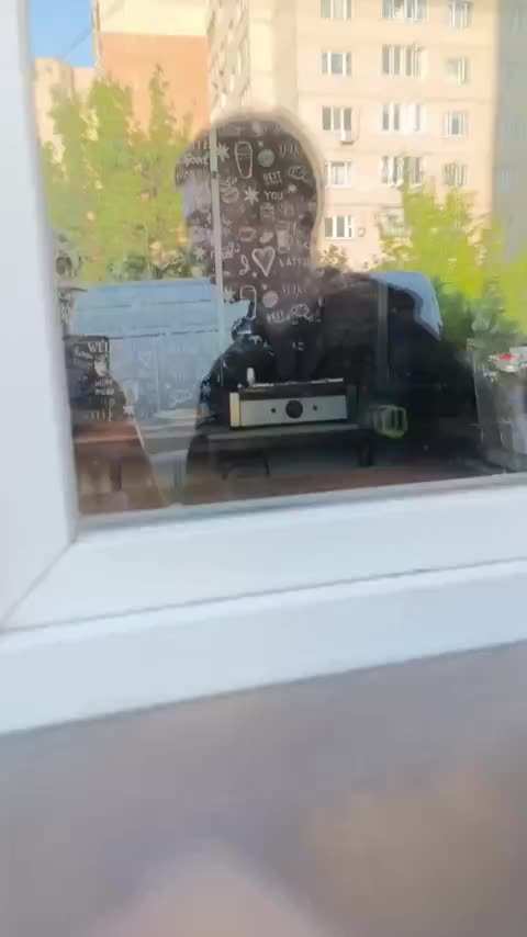 Москвичи возмущены санитарными условиями в шаурмичной