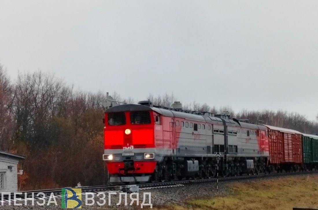 Пензенский лен отправили в Беларусь, Латвию и Бельгию   За январь-май 2025 года из Пензенской области экспортировано более 3,1 тыс. тонн зерна.  Под контролем Россельхознадзора отправлено 2,6 тыс. тонн продовольственного льна, 88 тонн сушеной чечевицы, 22 т гречневой крупы, 176 т семян горчицы, 132 т вики кормовой.  Семена льна экспортированы в Беларусь, Латвию, Бельгию, чечевицу сушеную и крупу гречневую отправили в Турцию, семена горчицы в Германию, вику кормовую - в Беларусь.  В ходе досмотра были отобраны образцы для исследования на предмет установления карантинного фитосанитарного состояния. Вся продукция соответствовала требованиям стран-импортеров зерна, отметили в пресс-службе управления.    -Взгляд