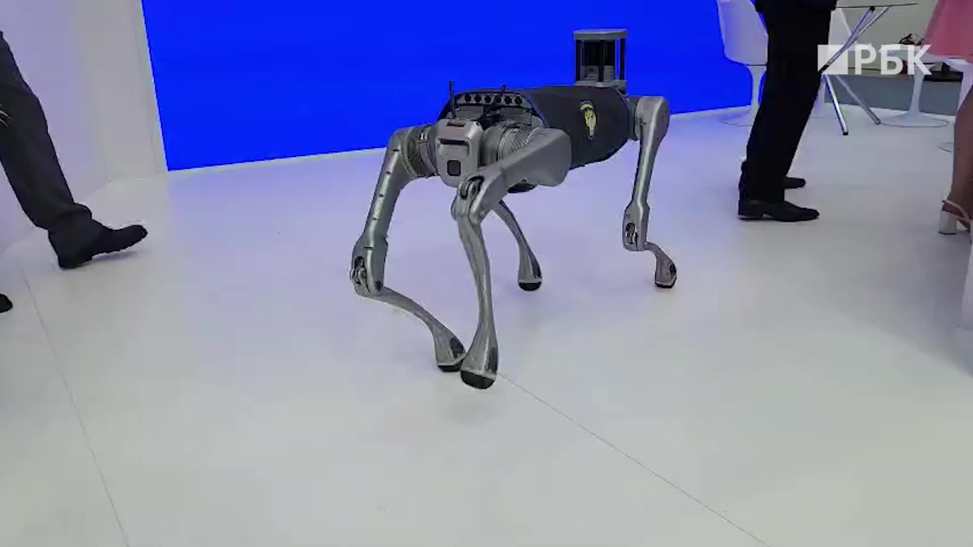 РЖД и Ространснадзор запускают тестирование робособак для проверки ж/д вагонов