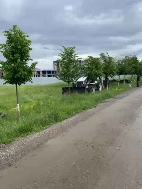 Жители Керчи и Владивостока жалуются на некошеную траву во дворах