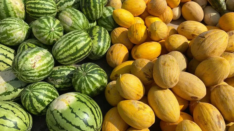 Экономист спрогнозировал снижение цен на арбузы и дыни В этом месяце дыня подешевеет минимум в 1,5 раза, а арбуз — в 2-2,5 раза. К сентябрю стоимость может упасть в 2,25-2,5 раза и 3,5-4 раза соответственно, рассказал «Газете.Ru» кандидат экономических наук, доцент Финансового университета при правительстве РФ Игорь Балынин. Это обусловлено сезонностью. Подпишись на «Говорит Москва»