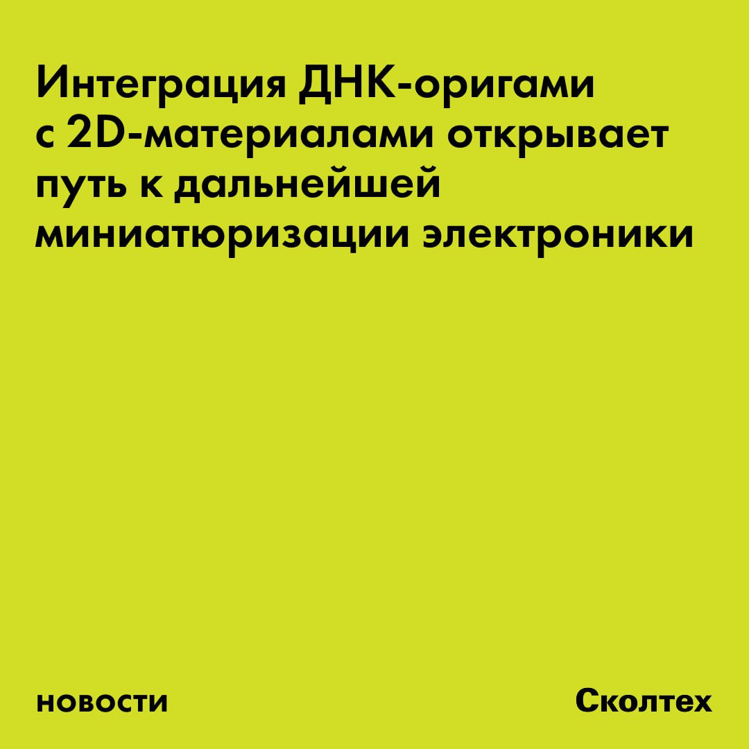 Учёные из Сколтеха Мюнхенского университета имени Людвига и Максимилиана Германия Нанкинского университета Китай и Национального института материаловедения Япония создали метод прецизионной настройки 2D полупроводников с помощью ДНК оригами Исследование опубликовано в журнале Small Methods Двумерные полупроводники такие как дисульфид молибдена способны сделать устройства невероятно миниатюрными Однако создание на их поверхности точных наноструктур для управления электрическими и оптическими свойствами крайне сложная задача Существующие методы не позволяют контролировать положение функциональных молекул с нужной точностью Международная команда применила метод ДНК оригами самосборки наноструктур из ДНК Учёные создали треугольные ДНК конструкции разместили на них в строго определённых местах молекулы органических красителей а затем накрыли всё это атомарно тонким слоем дисульфида молибдена Получился гибридный материал в котором ДНК шаблон задаёт энергетический ландшафт для полупроводника Есть два основных подхода к созданию ландшафта путей распространения экситонов в монослое двумерного полупроводника Можно вносить в однородную структуру материала разного рода дефекты но пока достичь при этом нанометровой точности не получается Другой подход заключается в нанесении органических молекул на монослой полупроводника однако существующие методы нанесения молекул не позволяют точно контролировать их положение в гибридной структуре рассказывает один из авторов исследования старший преподаватель Центра инженерной физики Сколтеха Ирина Мартыненко Разработанный метод открывает дорогу к созданию компактных и высокопроизводительных устройств для оптических вычислений квантовых симуляций детектирования света и др