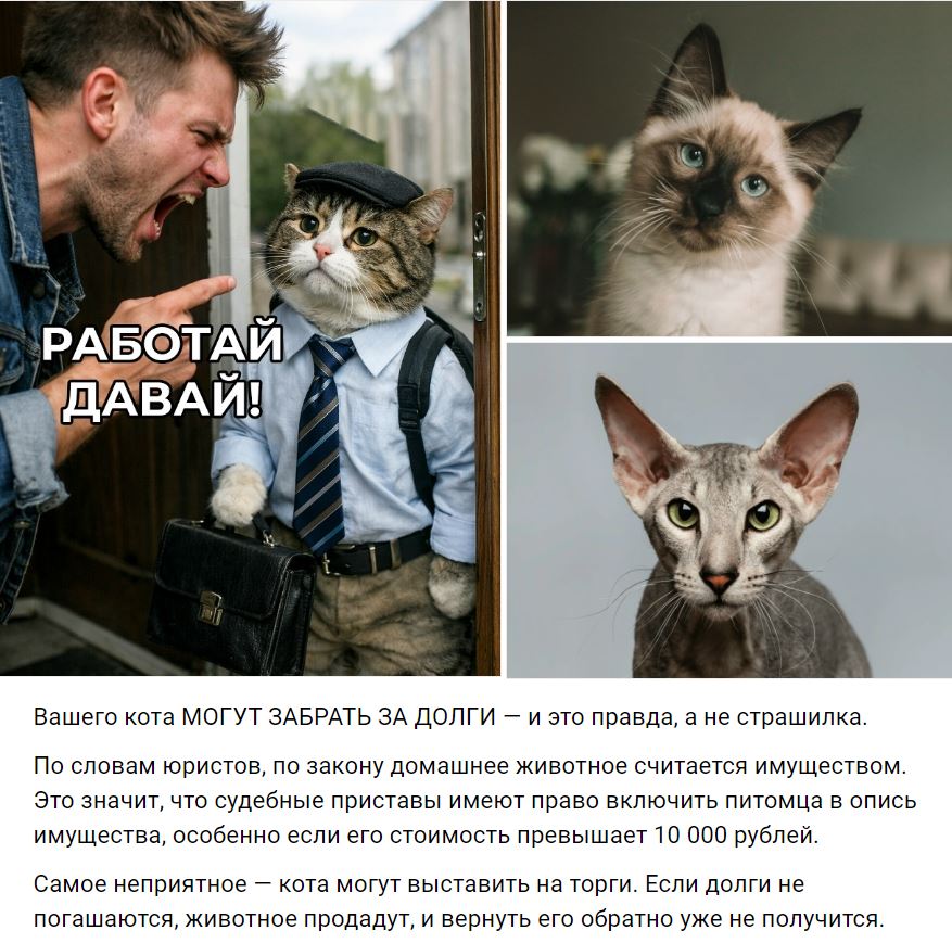 У россиян могут изъять домашних животных из за долгов по кредитам Котов и других домашних животных якобы могут изымать за долги по кредитам пугают в соцсетях Как на самом деле Но это не совсем так Согласно статье 446 Гражданского процессуального кодекса РФ на домашних животных не используемых в предпринимательской деятельности не может быть обращено взыскание Это правило действует с 2021 года и закреплено в законе Об ответственном обращении с животными Изъять питомца можно только если он используется для заработка например при разведении и продаже щенков или котят в качестве бизнеса В этом случае животное считается имуществом участвующим в коммерческой деятельности Таким образом обычного кота или собаку живущего в семье никто не заберет за долги Не верьте тревожным публикациям без проверки они часто искажают правду ради просмотров Источник опровержения Российская газета Не отвечают за хозяев РГ выяснила правда ли приставы могут забрать животных у должников