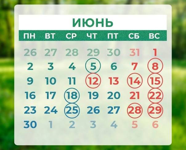 На следующей неделе россияне будут работать всего три дня.   Сокращённая рабочая неделя ожидается из-за празднования Дня России.  В преддверии праздника, в среду, 11 июня, рабочий день будет короче на один час. Длинные выходные продлятся с 12 по 15 июня.