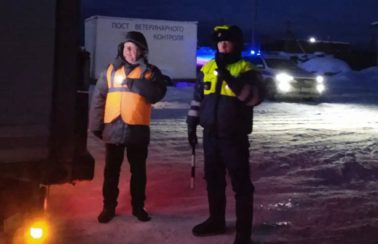 Более 940 автомобилей досмотрено на ветеринарном контрольно пропускном посту в январские праздники За первые дни нового года на круглосуточном ветеринарно контрольном посту в поселке Солзан Слюдянского района не выявлено ни одного нарушения ветеринарного законодательства при перевозке сельхозживотных и животноводческой продукции Как рассказал заместитель руководителя службы ветеринарии Приангарья Иван Лобыцин с момента установки пункта контроля на федеральной трассе Байкал досмотрено 8002 автомобиля 45 автомобилей задержано по результатам проверок из за отсутствия ветеринарно сопроводительных документов при перевозке груза Возвращено в пункты отгрузки 1633 головы крупного рогатого скота 53 мелкого рогатого скота две лошади и 6235 3 кг мяса Пост организовали из за с выявления случаев пастереллеза сельскохозяйственных животных в Забайкальском крае Подписывайтесь на Правительство Иркутской области в MAX