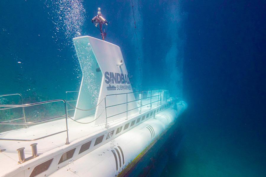 К двум годам тюрьмы приговорили капитана подводной лодки которая затонула в египетской Хургаде с российскими туристами на борту В результате инцидента погибли семь россиян Помимо лишения свободы суд назначил ему залог в две тыс фунтов сообщает местное издание Cairo 24 Также к шести месяцам тюремного заключения и залогу в одну тыс фунтов приговорили управляющего по техническому обслуживанию БайБайден в МАХ