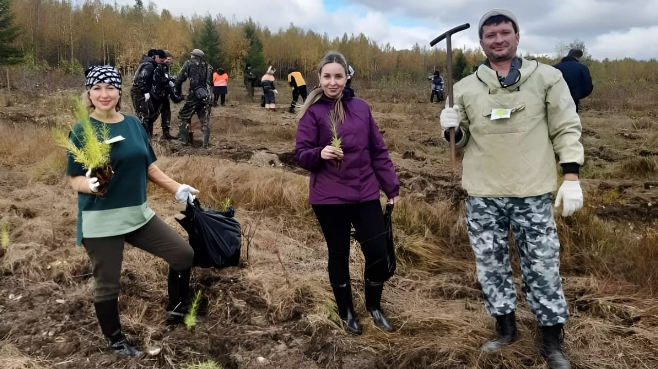 Осенью в Хабаровском крае высадили 2500 саженцев деревьев.  Министерство лесного хозяйства и лесопереработки Хабаровского края подвело итоги ежегодной всероссийской акции «Сохраним лес» в рамках президентского нацпроекта «Экология».   В этом году в регионе было высажено 2500 саженцев на улицах, в скверах и парках, а также в местах, где погибли леса.    Всего же за этот год путём искусственного лесовосстановления в регионе было высажено более 3,5 млн лесных культур.       Дальний Восток   Делись новостью