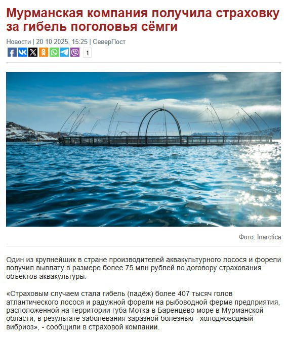 Заполярный Ворчун Мурманск Помнится в 2020 уже был случай рекордной страховой выплаты Пресс служба страховой компании РСХБ Страхование сообщила что компания ООО Русское море Аквакультура получила страховую выплату в размере 229 млн рублей после массового мора радужной форели в Карелии В страховой компании отметили что это крупнейшая выплата по факту гибели аквакультуры Страховой случай произошел в акватории Сегозерского водохранилища Рыба погибла в результате стихийного бедствия образования внутриводного льда шуги Пропало около 350 тысяч голов в возрасте от двух до трех лет А кто знает где нынче утилизируют погибшую в садках рыбу Инарктика не поделитесь подробнее на канале Заполярный Ворчун Мурманск