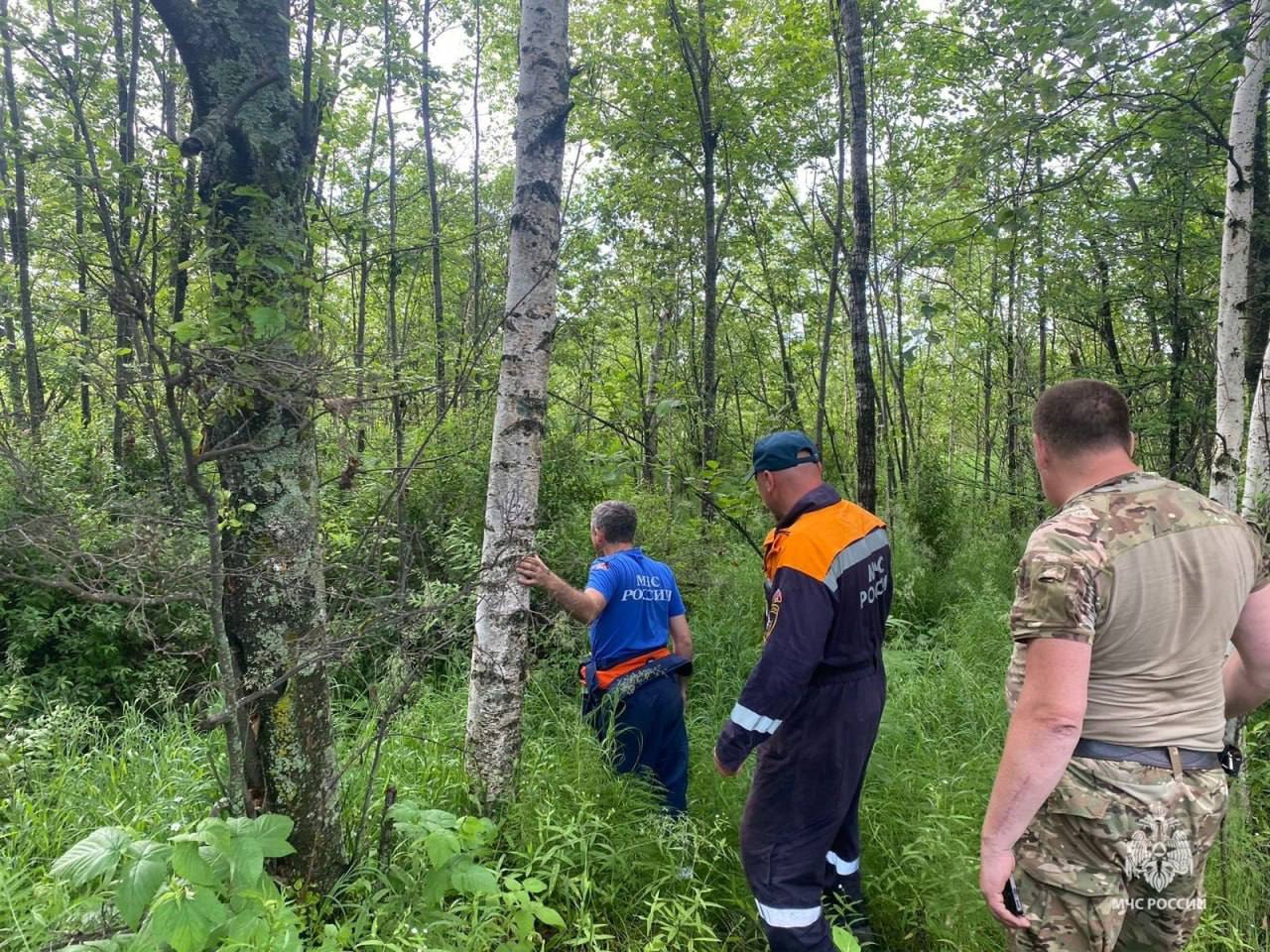 В районе имени Полины Осипенко нашли тело рыбака пропавшего на реке Амгунь Спасатели нашли тело 32 летнего мужчины предположительно утонувшего во время рыбалки в реке Амгунь Труп передали сотрудникам полиции для проведения необходимых оперативно следственных мероприятий Другая поисковая операция ведется в Комсомольском районе Там предположительно в 30 километрах от поселка Кенай пропал 65 летний мужчина Ведется осмотр береговой черты реки Гур к поискам подключены родственники пенсионера и местные жители   Будь в курсе событий