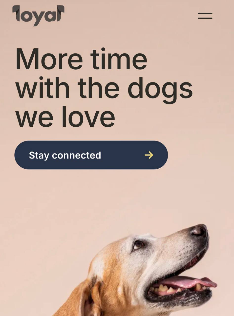 Собаки будут жить дольше компания Loyal готовит лекарство против старения собак которое ПРОДЛЕВАЕТ жизнь Лекарство уже одобрено и должно выйти в 2026 году Оно рассчитано для питомцев старше 10 лет и должно добавить к жизни примерно 3 года При этом цены доступные от 8000 рублей в месяц Наконец то хорошие новости techmedia