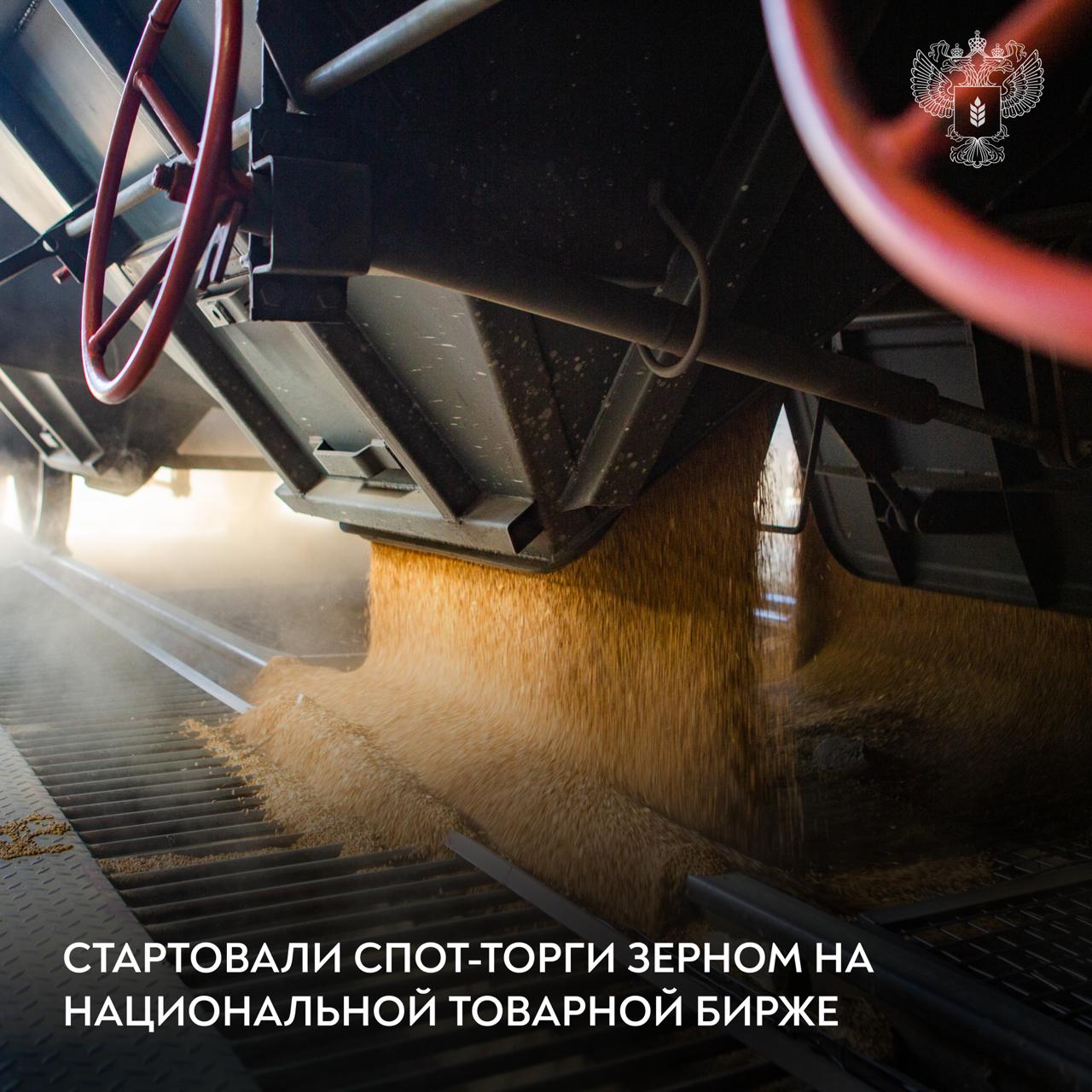 В России прошли первые биржевые спот торги зерном Доступ к торгам на НТБ уже получили 30 компаний экспортеров производителей и трейдеров Упростить допуск к участию позволила интеграция биржевой инфраструктуры с информационными системами АПК В первый день заключено семь сделок на 15 9 млн рублей общий объем 1 тысяча тонн зерна Шесть сделок прошли с автомобильной поставкой одна с железнодорожной Торги проходят в форме двухстороннего анонимного аукциона  участники подают встречные заявки на покупку и продажу с указанием цены и объема продукции  при совпадении параметров встречных заявок заключается сделка Максим Боровой замминистра сельского хозяйства Этот механизм позволяет уйти от закрытого ценообразования и получить объективную информацию о рыночной стоимости зерна Фермеры теперь получают подтвержденную реальными сделками цену вместо согласования условий в закрытых переговорах Это особенно важно для малых и средних хозяйств которые теперь могут полагаться на достоверные рыночные ориентиры Спот сегмент создает основу для дальнейшего развития биржевой инфраструктуры роста числа участников и повышения репрезентативности ценовых индикаторов   Минсельхоз России в MAX