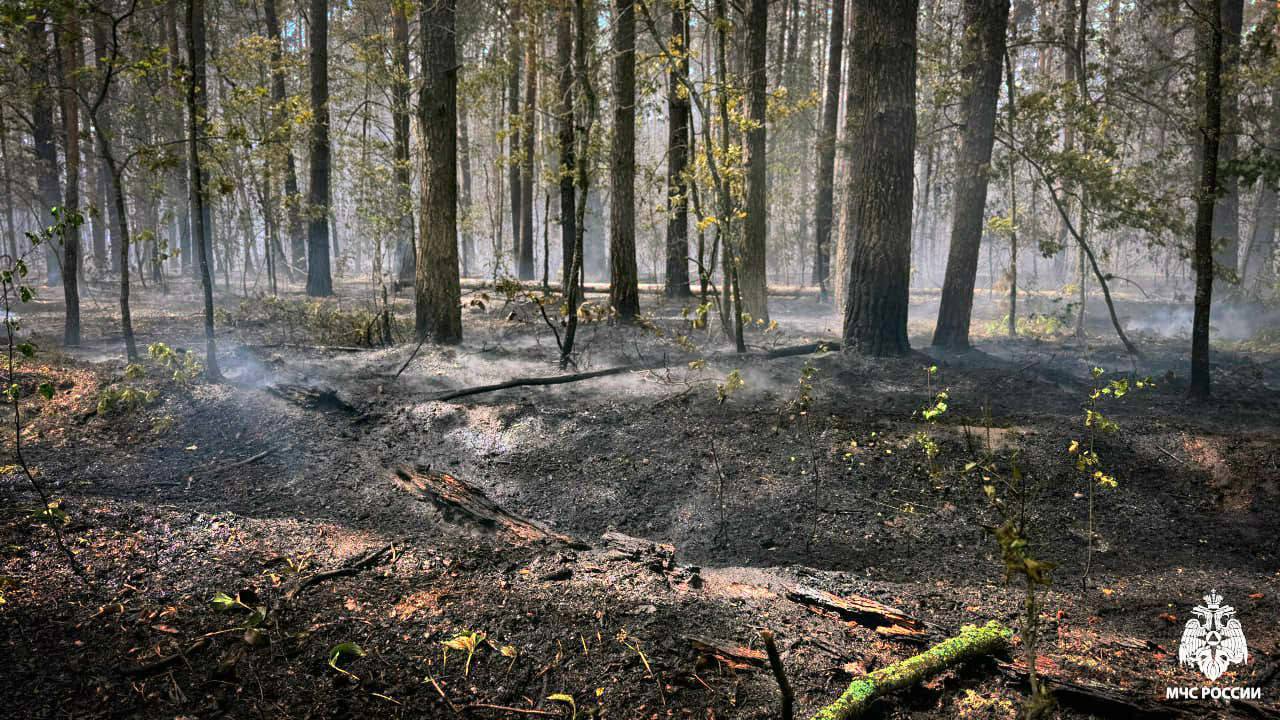 Пожар в Усманском районе ликвидирован. Подпишись на «Липецк №1»