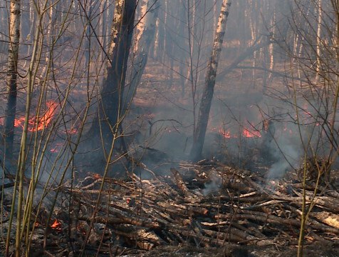 Высокая пожарная опасность сохраняется в Калужской области Пожарная опасность 4 класса сохранится 1 мая местами по Калужской области. Региональное управление МЧС предупреждает об этом жителей региона. Напомним, что 4 класс опасности — предпоследний.