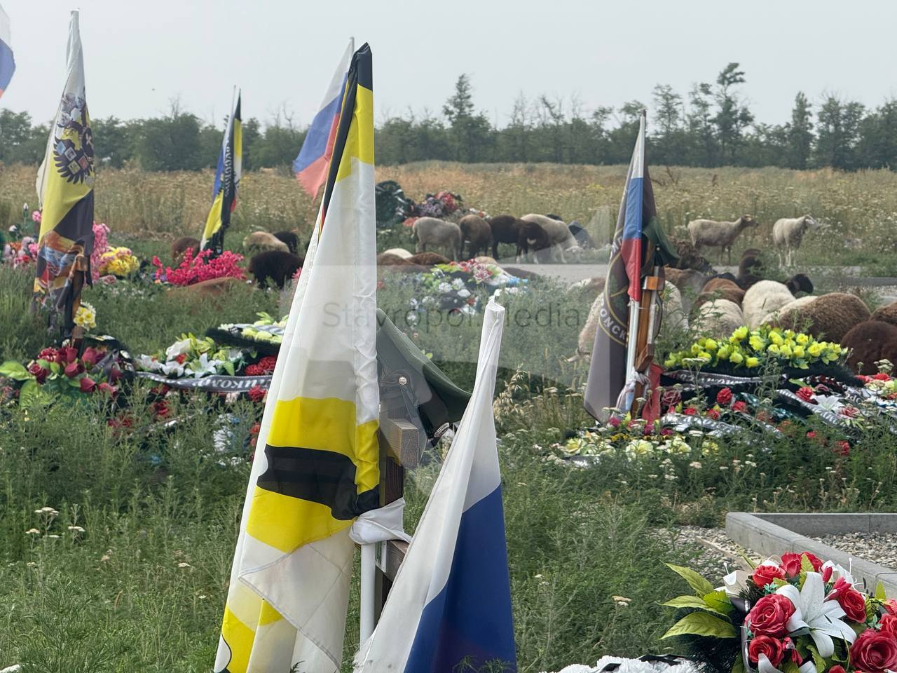 Бараны пасутся на Аллее Славы на Крестовоздвиженском кладбище вблизи Ставрополя Местную жительницу возмутило, что животные щиплют травку прямо у могил бойцов. Девушка спугнула баранов, и они отошли в поле. "Информация направлена администрации кладбища для принятия мер", - сообщили власти Шпаковского округа. Stavropol.Media Прислать новость