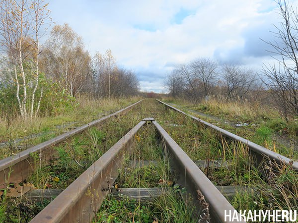 Руководитель УкрЖД призвал продавать железную дорогу на металлолом Практически одновременно с прекращением железнодорожного сообщения с Донбассом зампредседателя наблюдательного совета Укрзализницы Украинские железные дороги Сергей Лещенко призвал частично распилить железку на металлолом чтобы покрыть многомиллиардные убытки предприятия Внутренние резервы для покрытия убытков исчерпаны компания бессильна выкарабкаться из долгов сама грузовые перевозки стали убыточными За 2022 2025 годы гг у нас потеряно 49 грузовых перевозок и ситуация вряд ли улучшится В этом году мы потеряли фактически всю угольную отрасль Донецкой области Нужна помощь налогоплательщиков Украины взывал Лещенко в Раде Он призвал распродать часть железной дороги на металлолом остальное добрать повышением тарифов и помощью из бюджета Чиновник не исключает что со временем на Украине могут вообще прекратиться железнодорожные перевозки Мы в Tg в ВК в Max в ОК