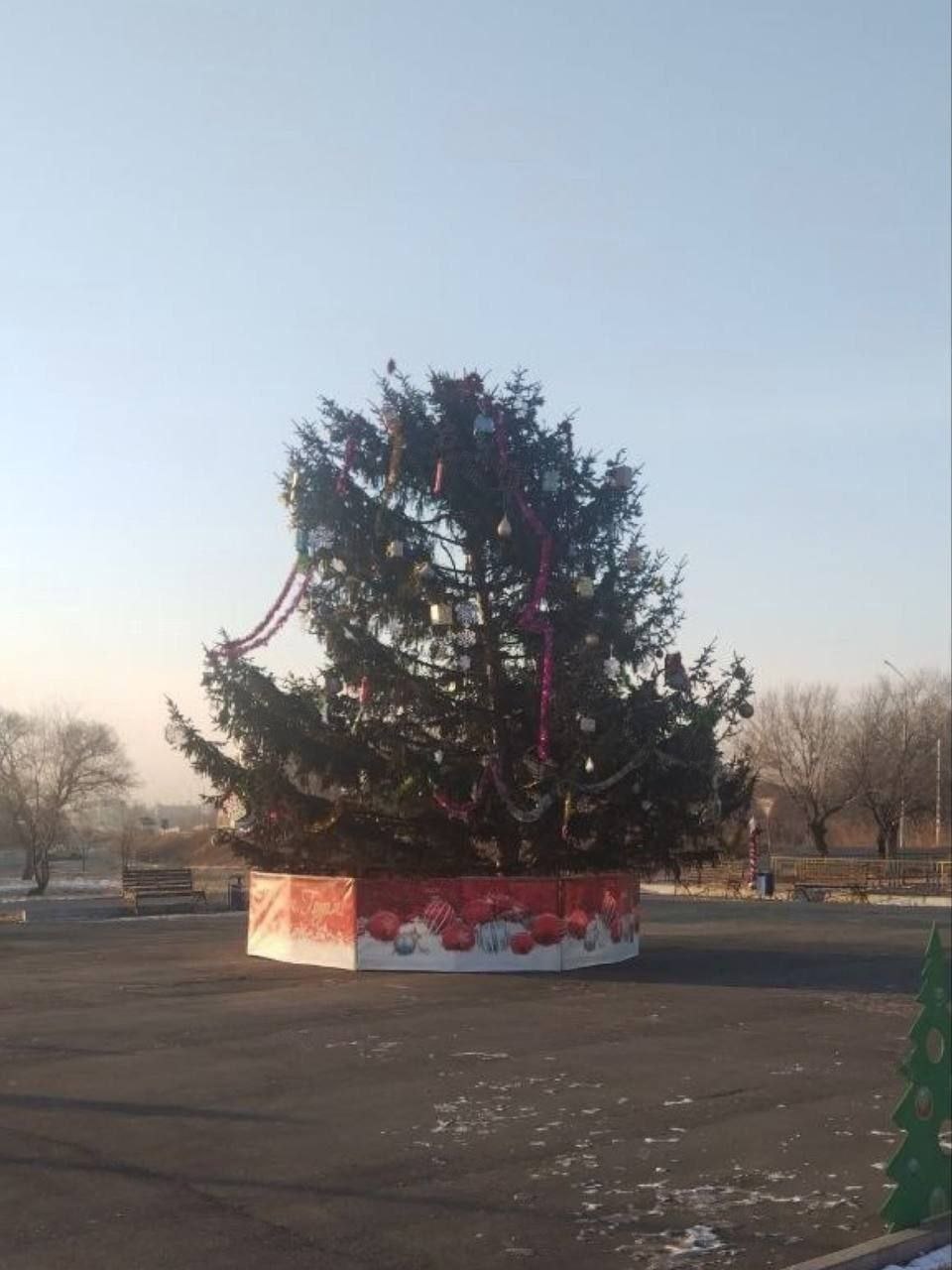 В селе Галёнки Октябрьского округа обсуждают необычную новогоднюю ёлку из за формы жители окрестили её ёлкой полторашкой и активно делают мемы Глава округа Александр Камлёнок пояснил что дерево подарил местный житель а необычный вид связан с отсутствием верхушки По его словам выбирали из десятка вариантов но остальные были ещё хуже Власти уверяют украшение ещё не завершено Ёлку доработают гирляндами и при необходимости подрежут ветки К 25 декабря обещают привести её в красивый и достойный вид Вам нравится ёлочка Хотите поделиться новостью Написать в Приморье Онлайн