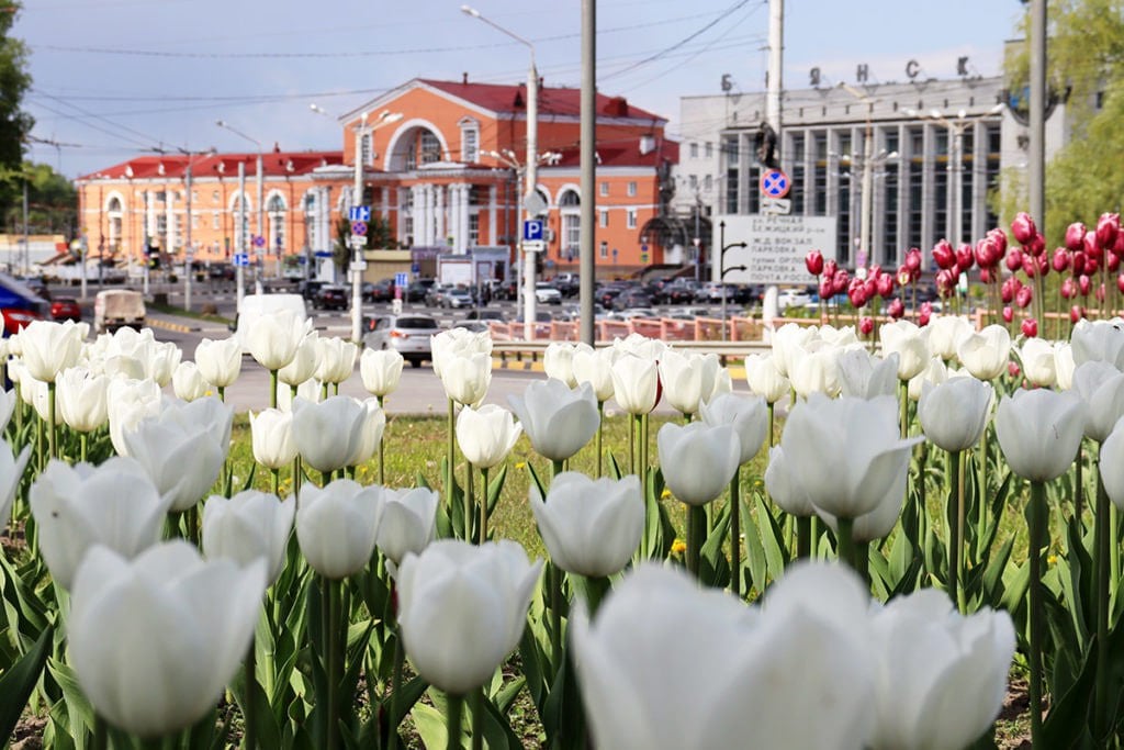 К 8 марта в городе откроется 40 цветочных базаров  Они будут работать с 5 по 9 марта с 08:00 до 19:00, сообщили в муниципалитете.  Полный список адресов цветочных ярмарок на сайте горадминистрации.  Бот для новостей и фото:       Бря — медиа о Брянске, его людях и местах